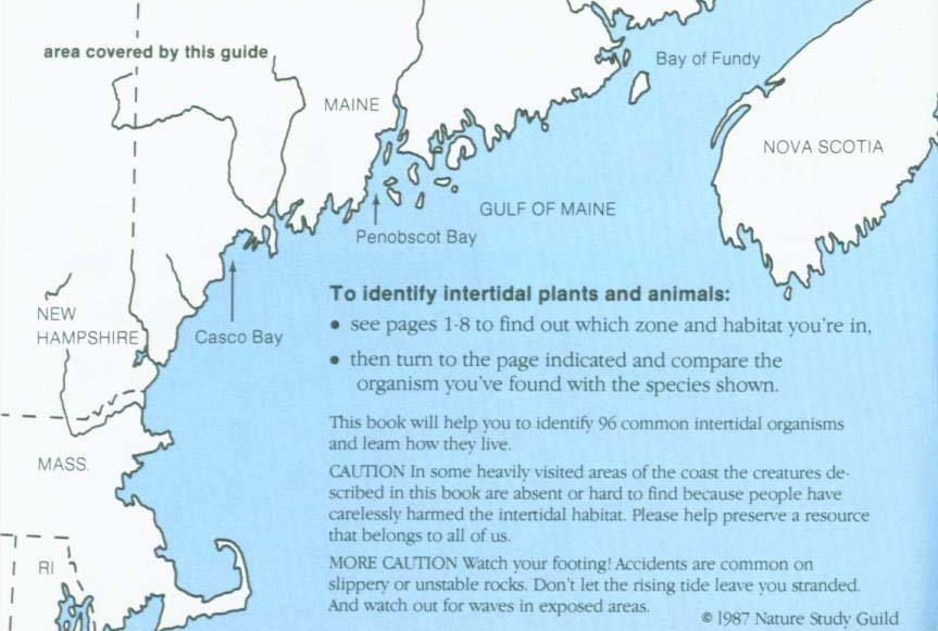 LIFE ON INTERTIDAL ROCKS: a guide to marine life of the rocky North Atlantic coast. nasg5406c